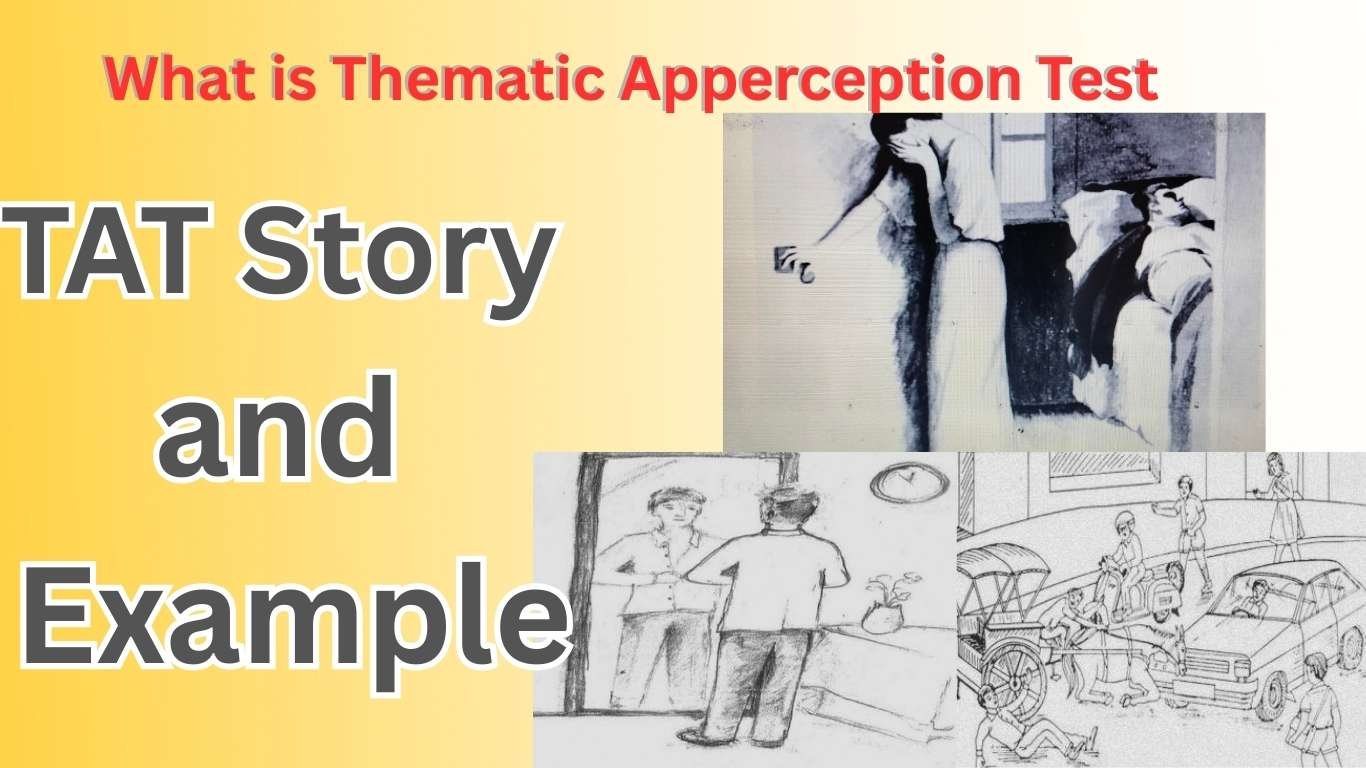 what is thematic apperception test TAT